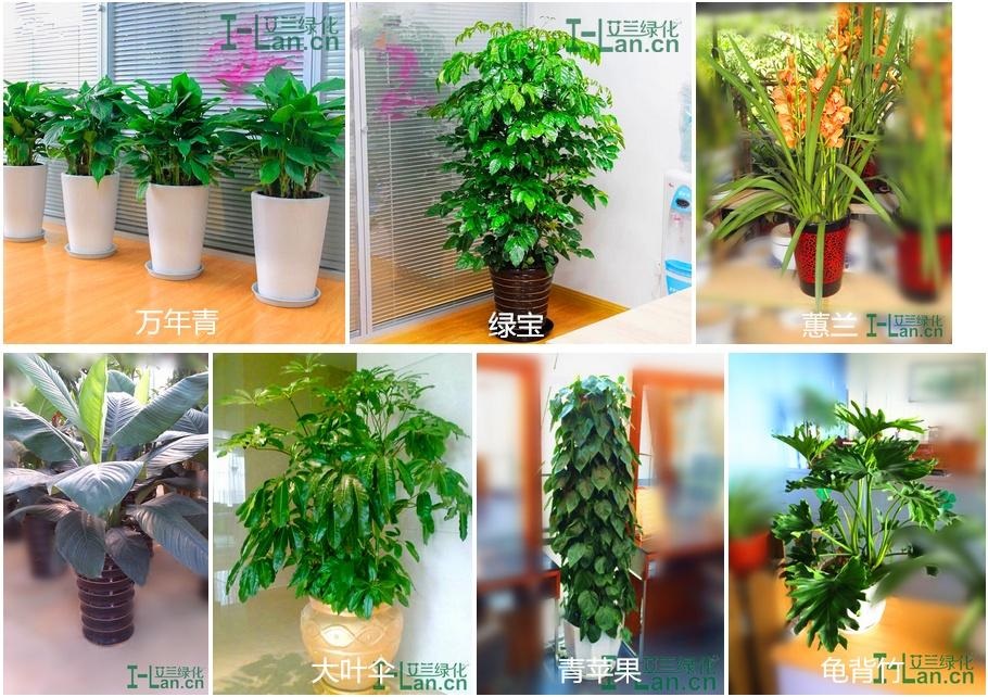 恒峰g22·(中国区)官网入口-天天有惊喜