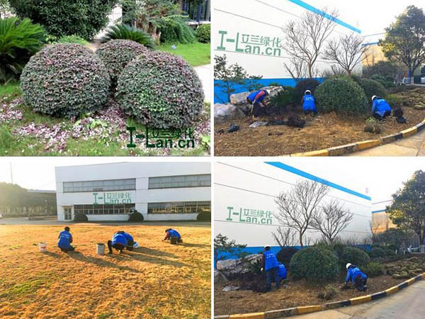 恒峰g22·(中国区)官网入口-天天有惊喜